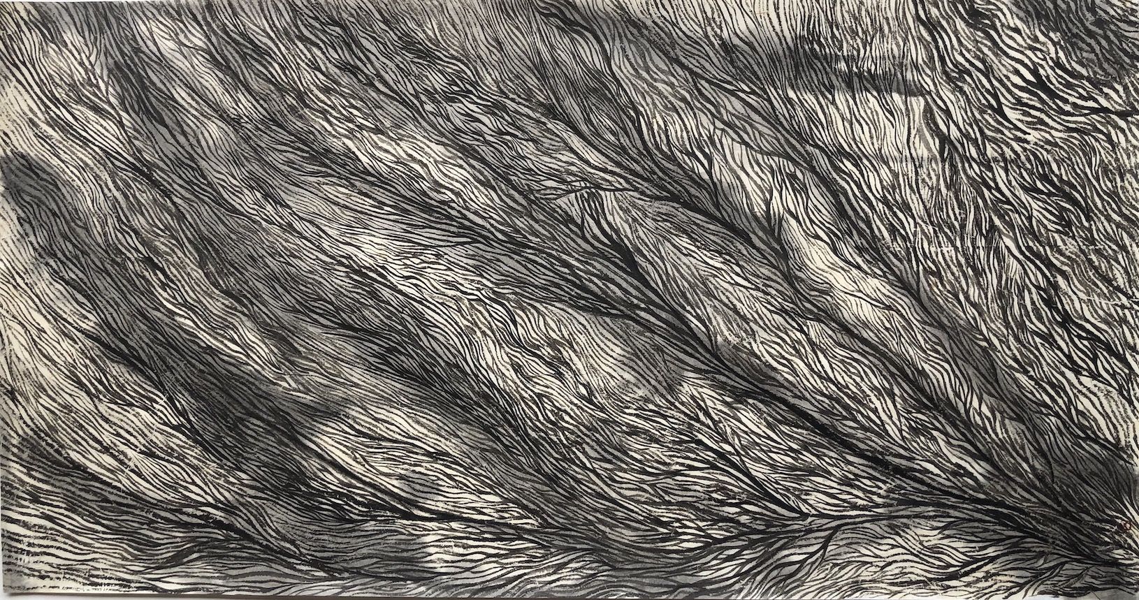 Of Lines, Veins and Trees 3 Sumi ink, Getou （Shell ginger ) paper 線、木、血管 3　墨、月桃紙　2023 64 X 34 cm